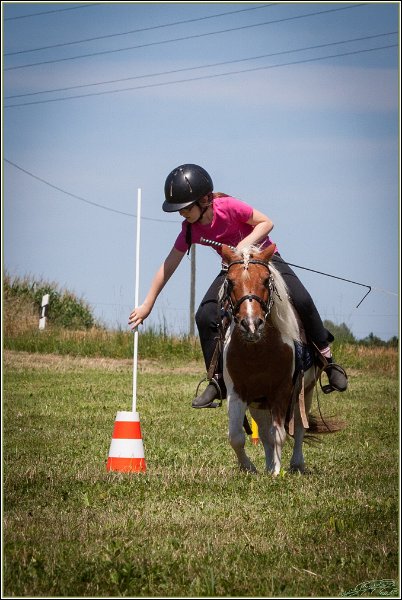 Mounted Games 155